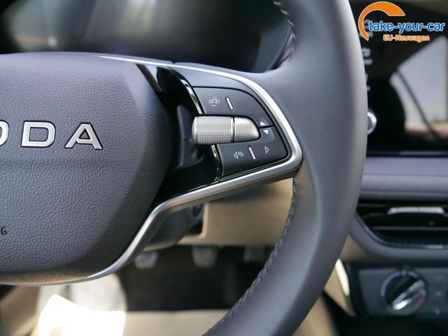 Skoda - Fabia - EU-Neuwagen - Reimport
