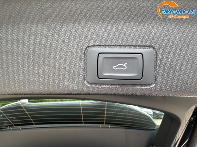 Cupra - Terramar - EU-Neuwagen - Reimport