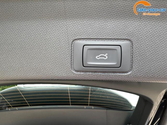 Cupra - Terramar - EU-Neuwagen - Reimport