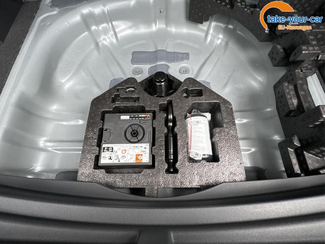 Cupra - Formentor - EU-Neuwagen - Reimport