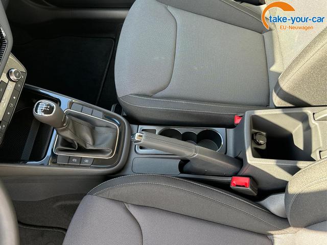 Skoda - Fabia - EU-Neuwagen - Reimport