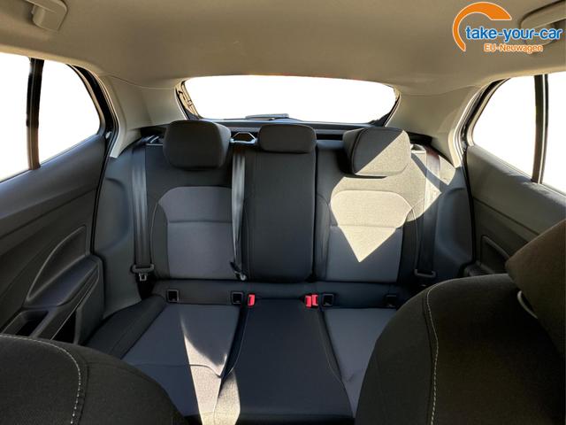 Skoda - Fabia - EU-Neuwagen - Reimport