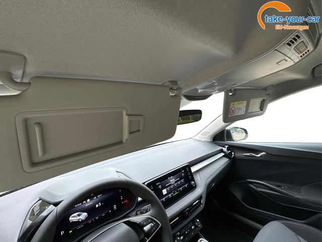Skoda - Fabia - EU-Neuwagen - Reimport