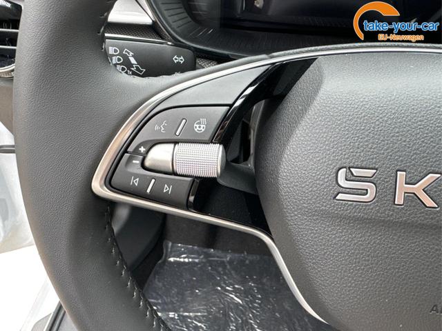 Skoda - Fabia - EU-Neuwagen - Reimport