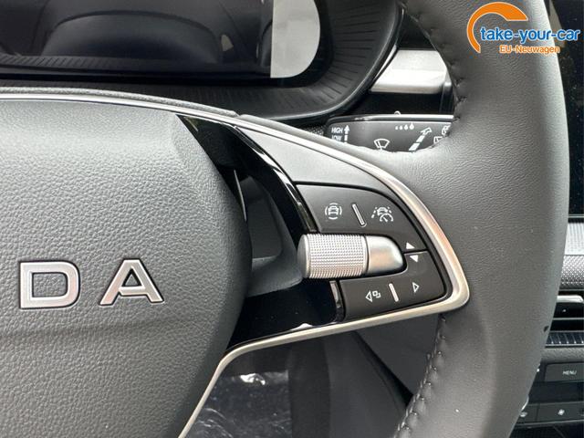 Skoda - Fabia - EU-Neuwagen - Reimport