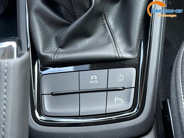 Skoda - Kamiq - EU-Neuwagen - Reimport