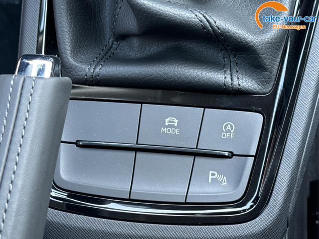 Skoda - Kamiq - EU-Neuwagen - Reimport