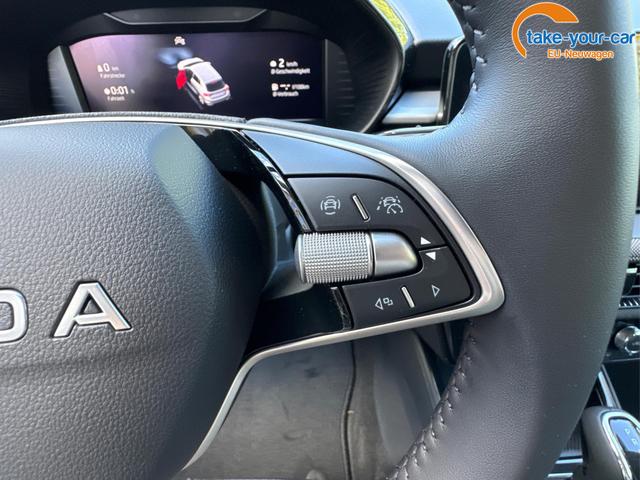 Skoda - Fabia - EU-Neuwagen - Reimport