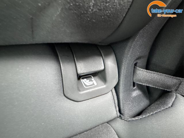 Cupra - Terramar - EU-Neuwagen - Reimport