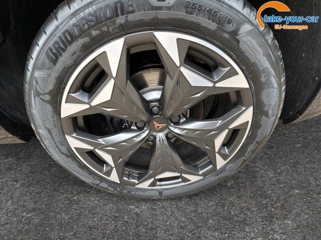 Cupra - Terramar - EU-Neuwagen - Reimport