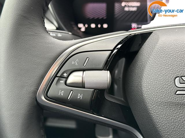 Skoda - Fabia - EU-Neuwagen - Reimport