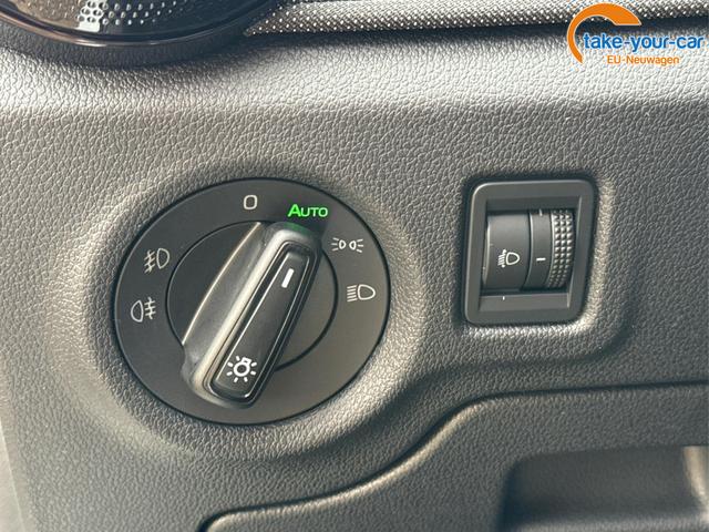 Skoda - Fabia - EU-Neuwagen - Reimport