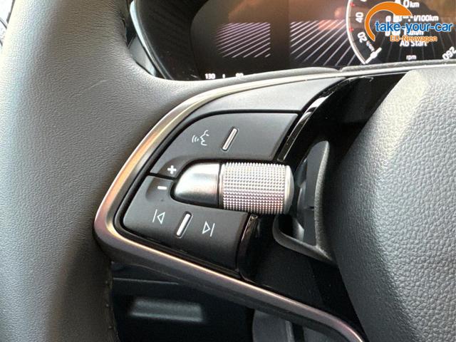 Skoda - Fabia - EU-Neuwagen - Reimport