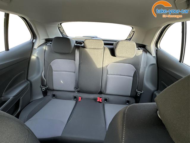 Skoda - Fabia - EU-Neuwagen - Reimport