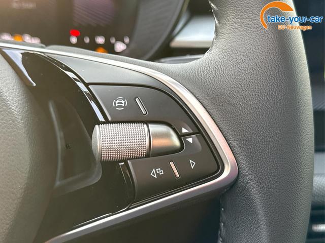 Skoda - Fabia - EU-Neuwagen - Reimport