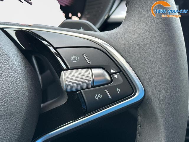 Skoda - Fabia - EU-Neuwagen - Reimport