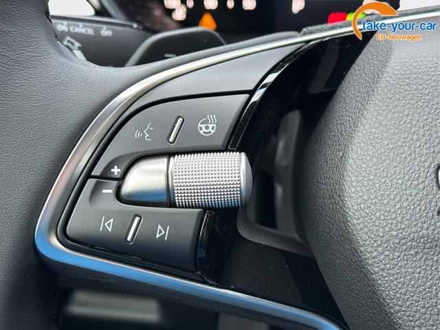 Skoda - Fabia - EU-Neuwagen - Reimport