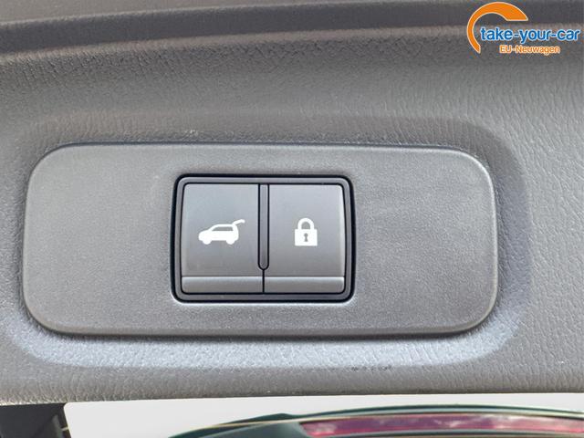 Nissan - Qashqai - EU-Neuwagen - Reimport