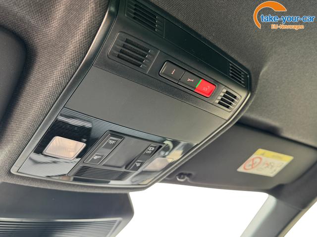 Seat - Ibiza - EU-Neuwagen - Reimport