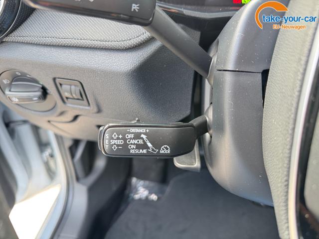 Skoda - Fabia - EU-Neuwagen - Reimport