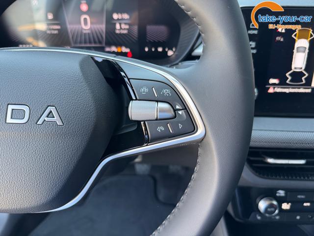 Skoda - Fabia - EU-Neuwagen - Reimport