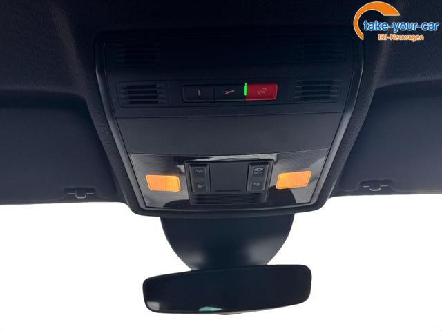 Seat - Ibiza - EU-Neuwagen - Reimport