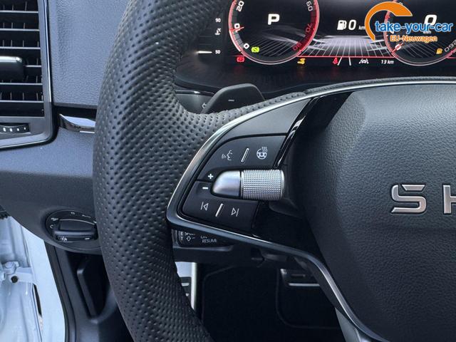 Skoda - Karoq - EU-Neuwagen - Reimport