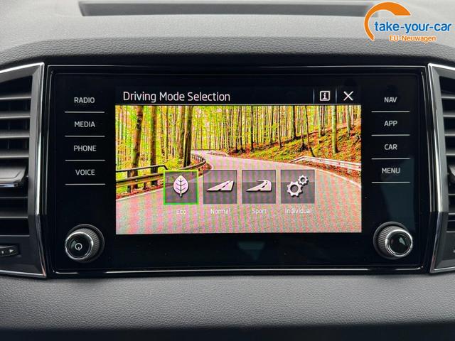 Skoda - Karoq - EU-Neuwagen - Reimport