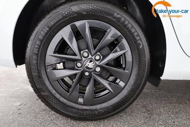 Skoda - Fabia - EU-Neuwagen - Reimport