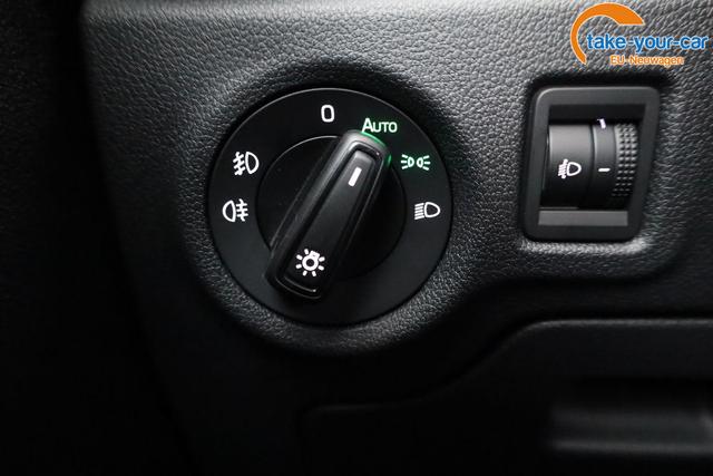 Skoda - Fabia - EU-Neuwagen - Reimport