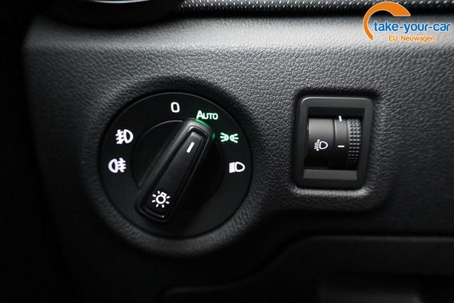 Skoda - Fabia - EU-Neuwagen - Reimport