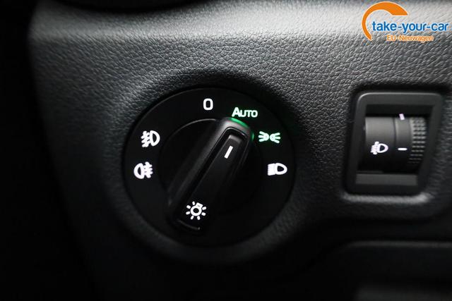 Skoda - Fabia - EU-Neuwagen - Reimport