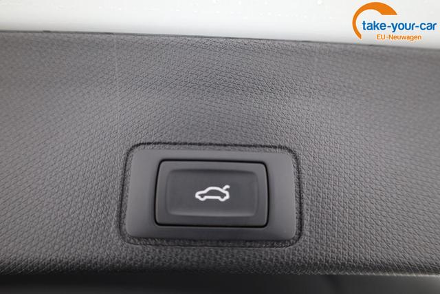 Cupra - Terramar - EU-Neuwagen - Reimport