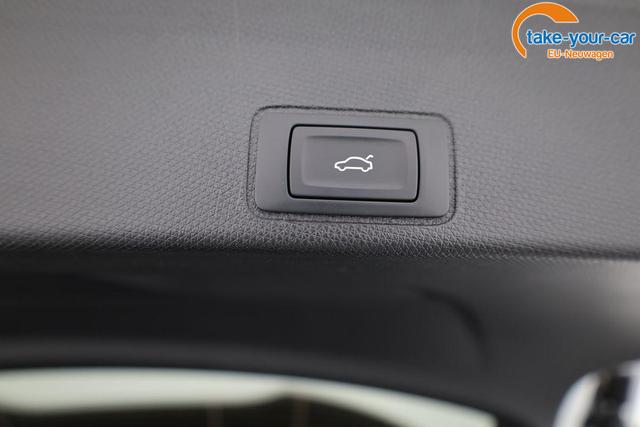 Cupra - Terramar - EU-Neuwagen - Reimport