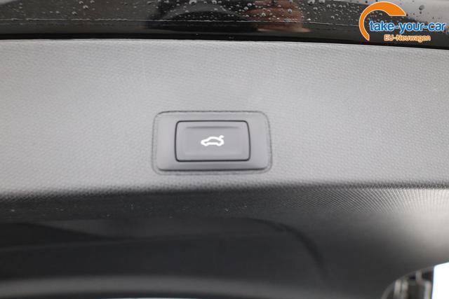 Cupra - Terramar - EU-Neuwagen - Reimport