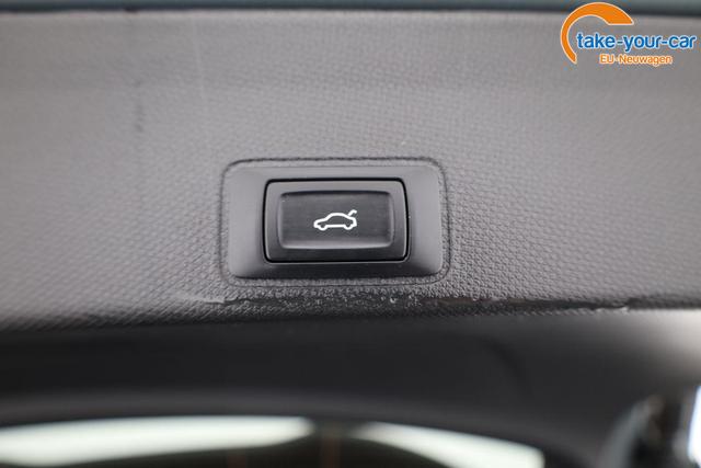 Cupra - Terramar - EU-Neuwagen - Reimport