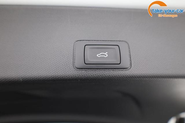 Cupra - Terramar - EU-Neuwagen - Reimport