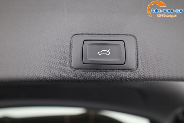 Cupra - Terramar - EU-Neuwagen - Reimport