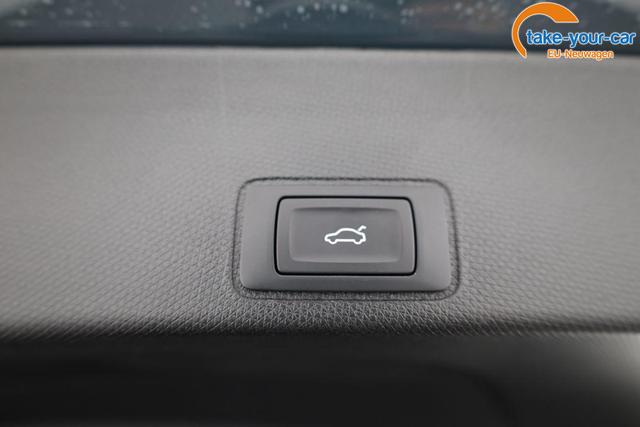 Cupra - Terramar - EU-Neuwagen - Reimport