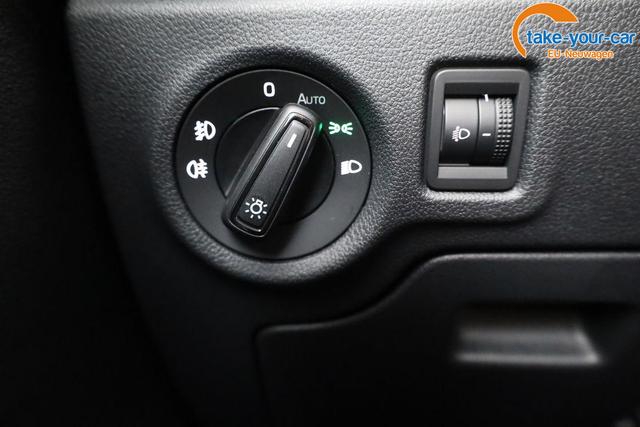 Skoda - Fabia - EU-Neuwagen - Reimport