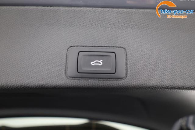 Cupra - Terramar - EU-Neuwagen - Reimport
