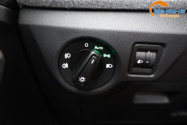 Skoda - Kamiq - EU-Neuwagen - Reimport