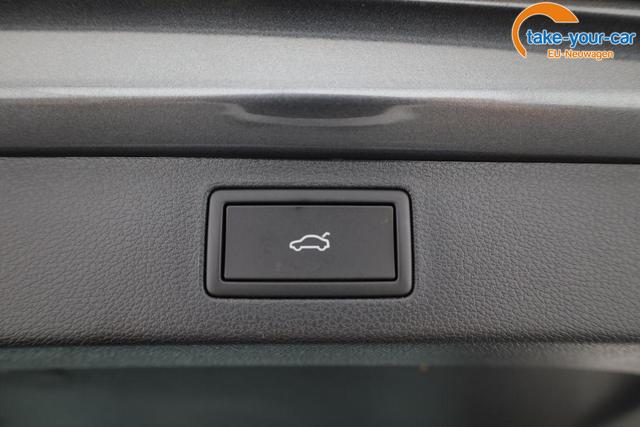 Skoda - Kamiq - EU-Neuwagen - Reimport