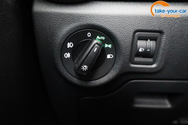 Skoda - Fabia - EU-Neuwagen - Reimport