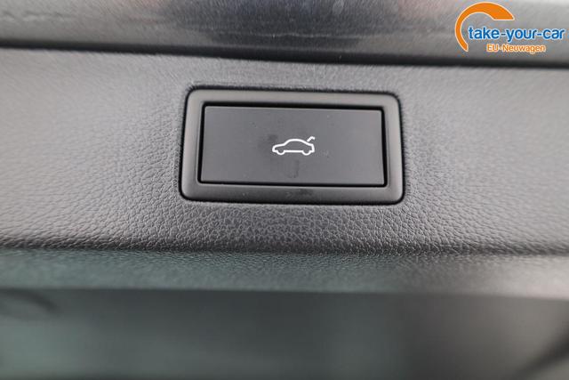 Skoda - Kamiq - EU-Neuwagen - Reimport