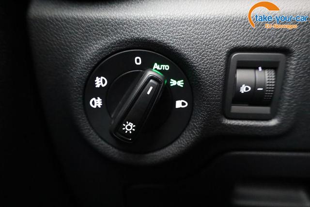 Skoda - Fabia - EU-Neuwagen - Reimport