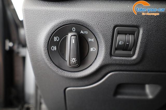 Skoda - Fabia - EU-Neuwagen - Reimport
