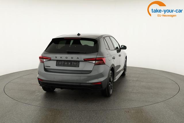 Skoda - Fabia - EU-Neuwagen - Reimport