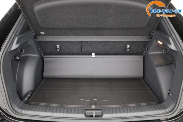 Skoda - Fabia - EU-Neuwagen - Reimport