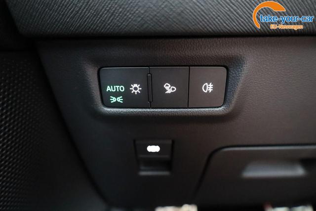 Skoda - Kodiaq - EU-Neuwagen - Reimport